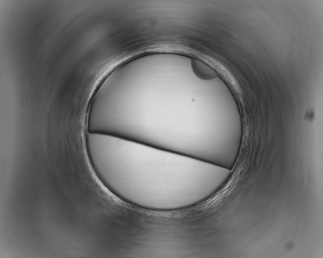 X0000101140855200806270734