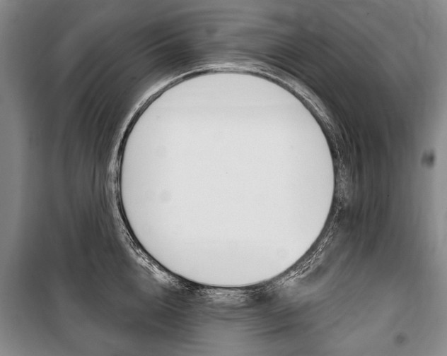 X0000101140856200806270734