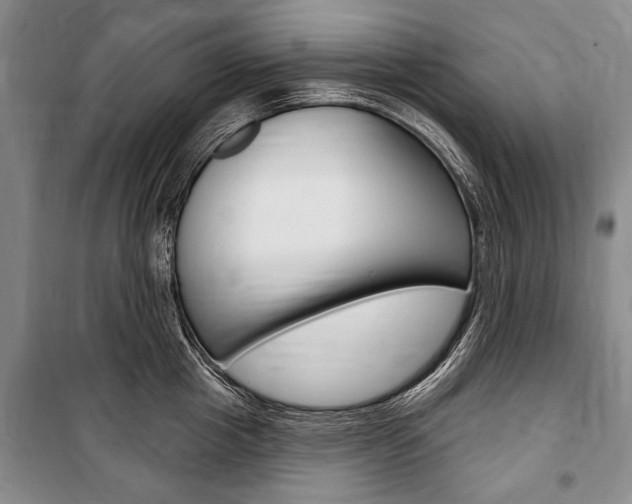 X0000101140857200806270734