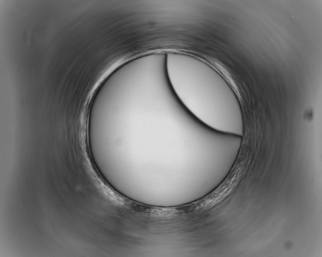 X0000101140859200806270734