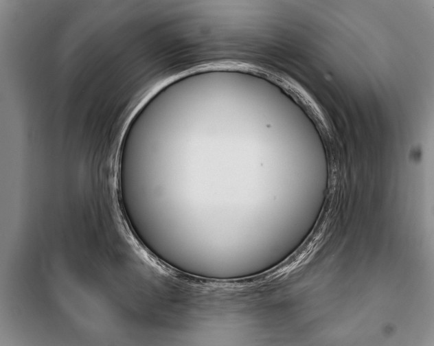 X0000101140860200806270734