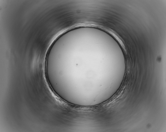 X0000101140861200806270734