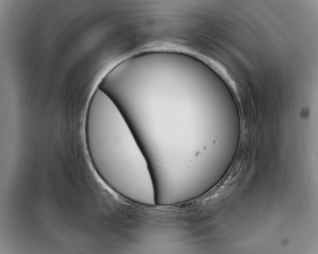 X0000101140863200806270734