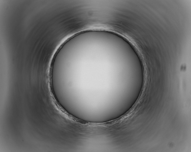 X0000101140864200806270734