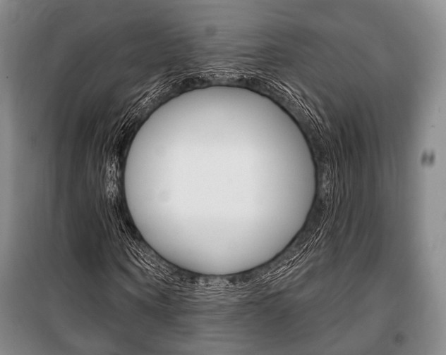 X0000101140866200806270734