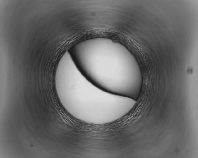 X0000101140868200806270734