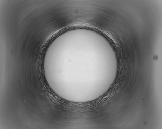X0000101140872200806270734