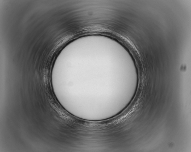 X0000101140873200806270734