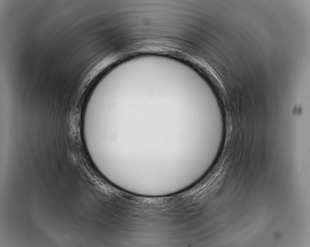 X0000101140874200806270734