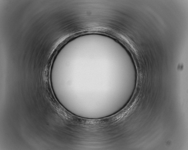X0000101140875200806270734