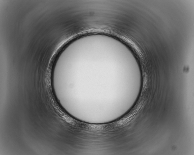 X0000101140878200806270734