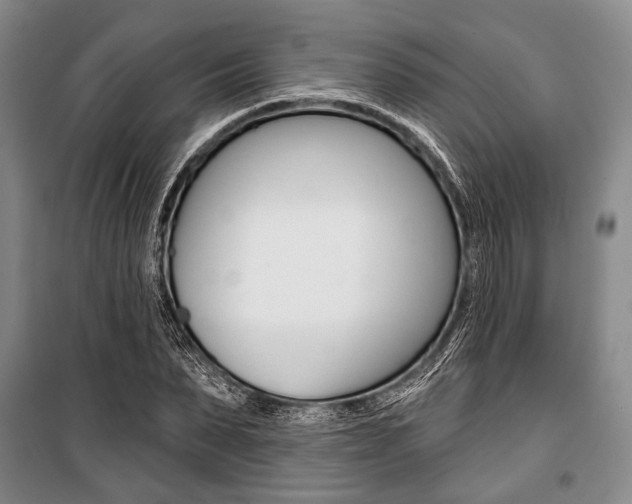 X0000101140879200806270734