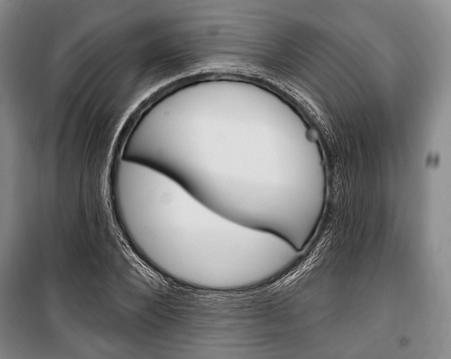 X0000101140880200806270734