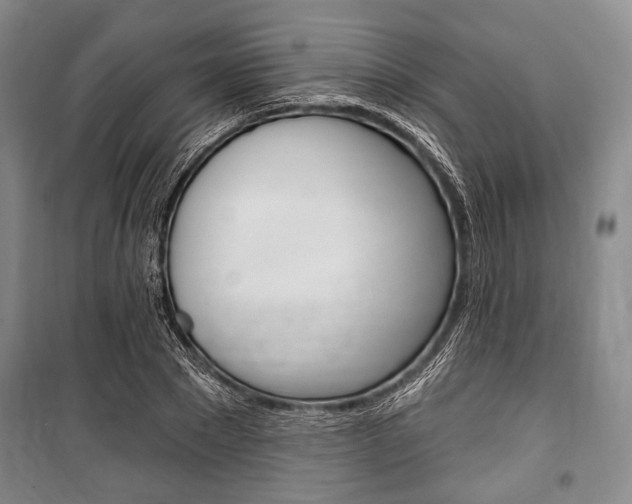 X0000101140881200806270734