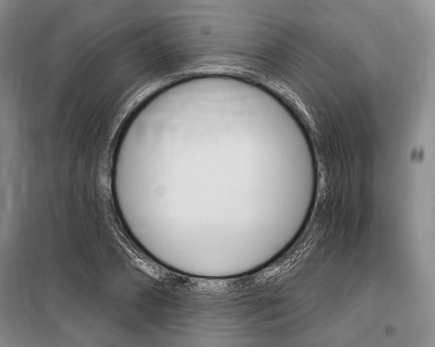 X0000101140882200806270734