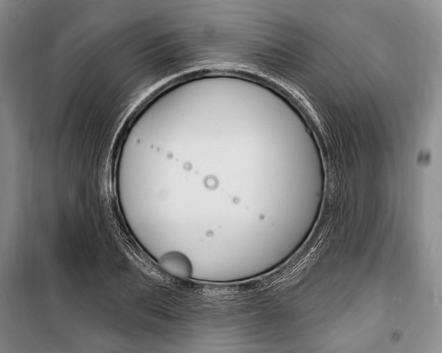 X0000101140887200806270733
