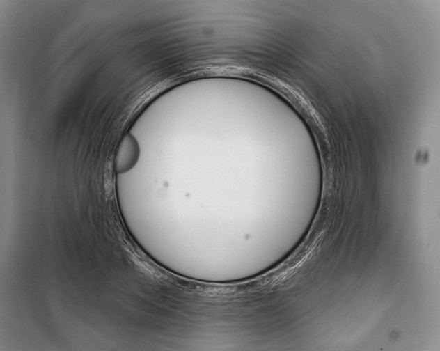 X0000101140889200806270733