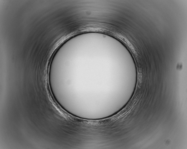 X0000101140890200806270733