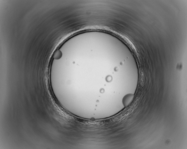X0000101140895200806270733