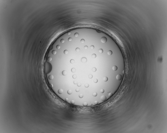 X0000101140899200806270733