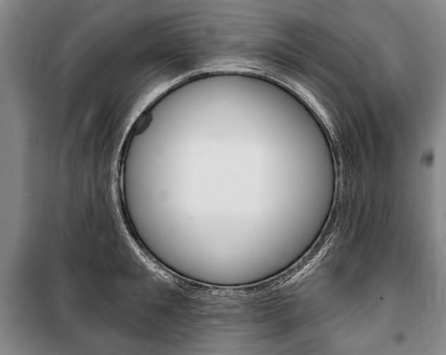 X0000101140901200806270733
