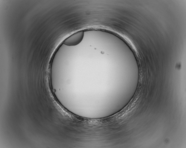 X0000101140903200806270733