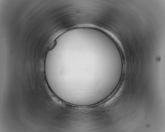X0000101140905200806270733