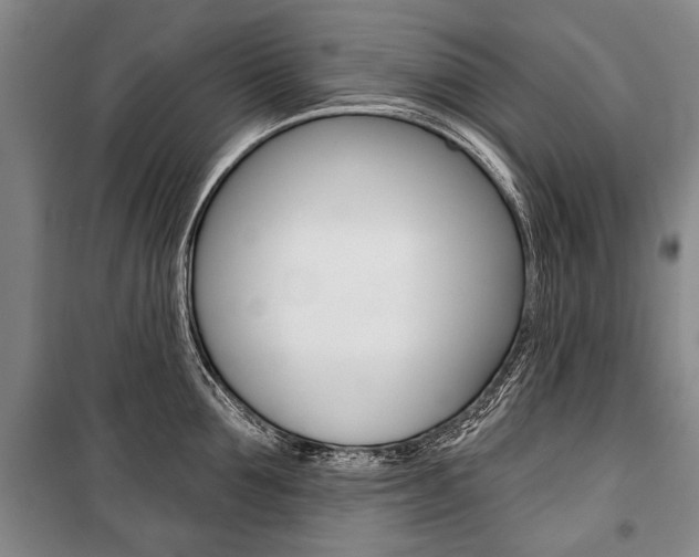 X0000101140907200806270733