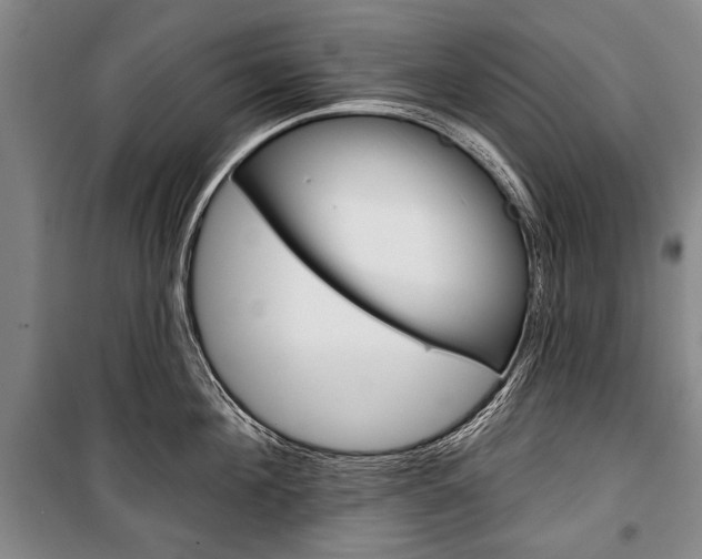 X0000101140908200806270733