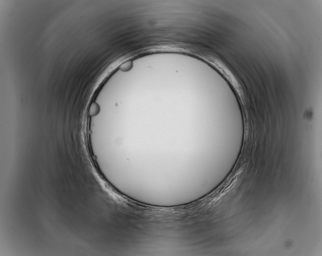 X0000101140909200806270733