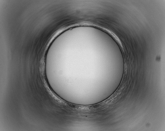 X0000101140911200806270733