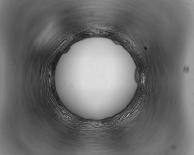 X0000101140915200806270732