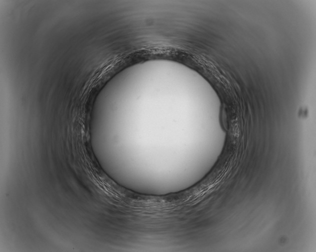 X0000101140916200806270732