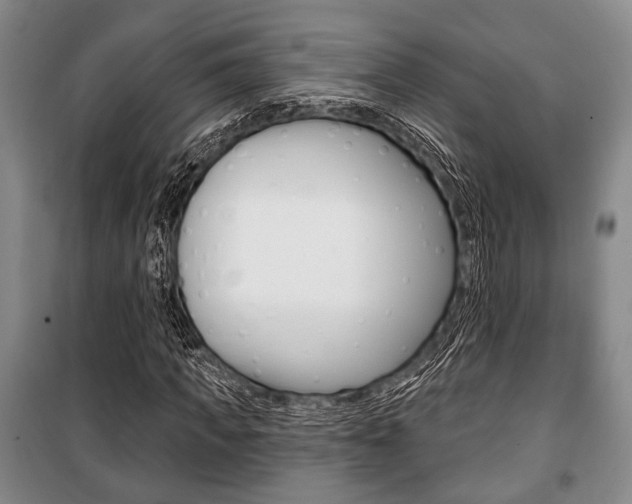 X0000101140917200806270733