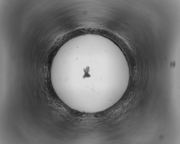 X0000101140918200806270733