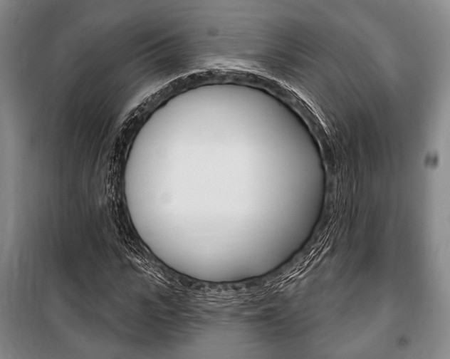 X0000101140919200806270733
