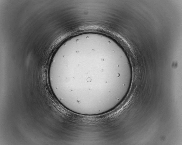X0000101140921200806270733
