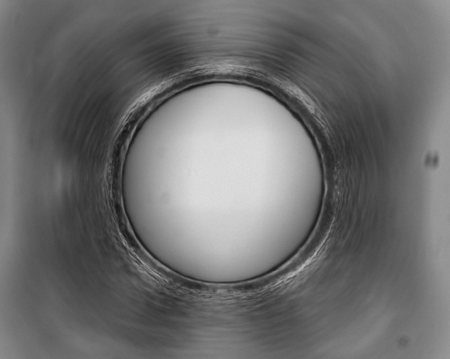 X0000101140922200806270733