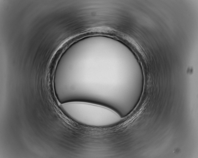 X0000101140923200806270733