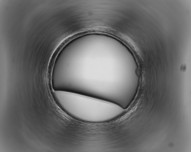 X0000101140924200806270733
