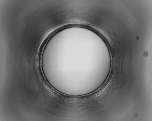 X0000101140927200806270733