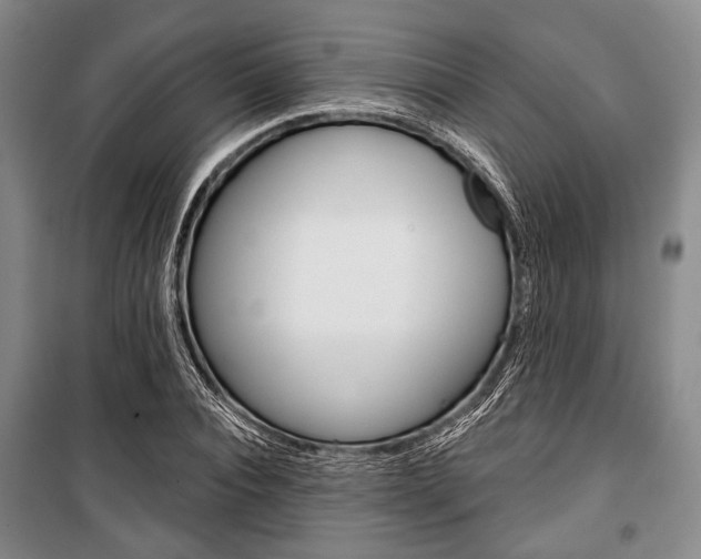 X0000101140928200806270733