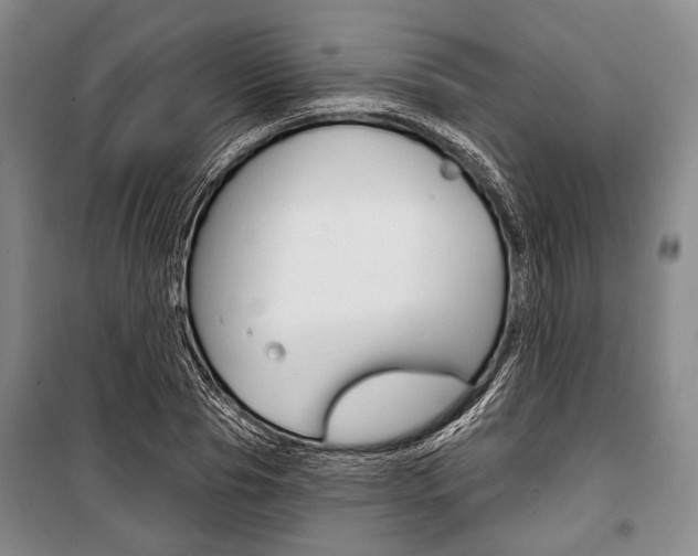 X0000101140929200806270733