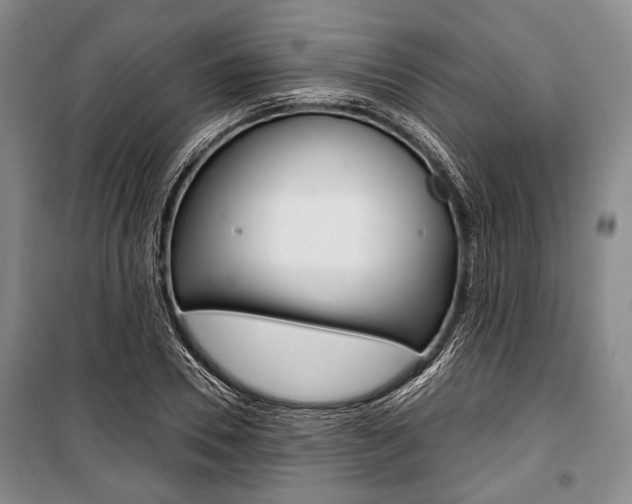 X0000101140930200806270733