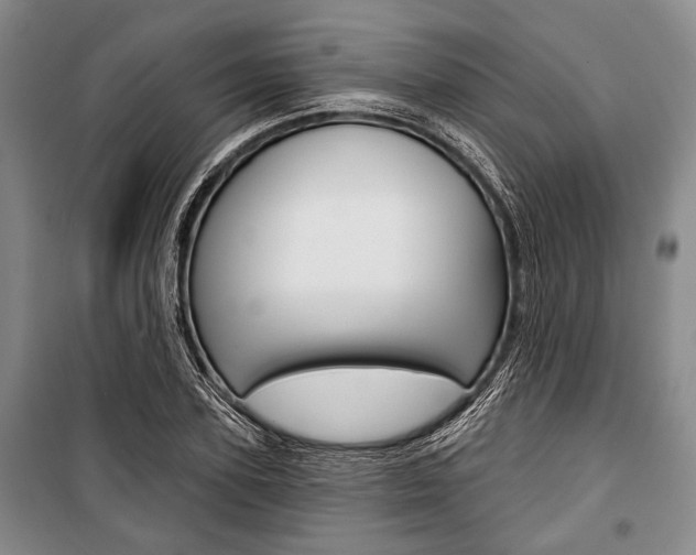 X0000101140931200806270733