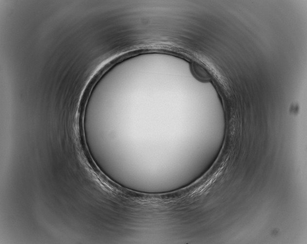 X0000101140932200806270733