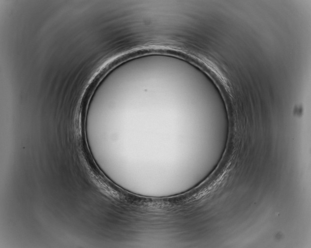 X0000101140934200806270733