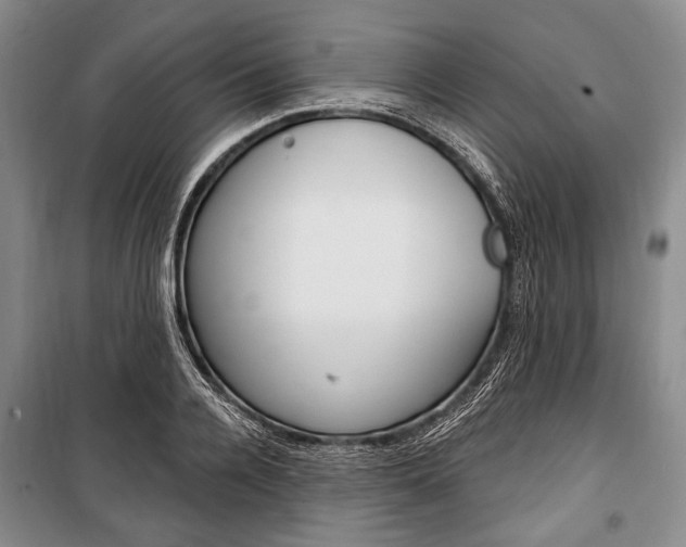 X0000101140936200806270733