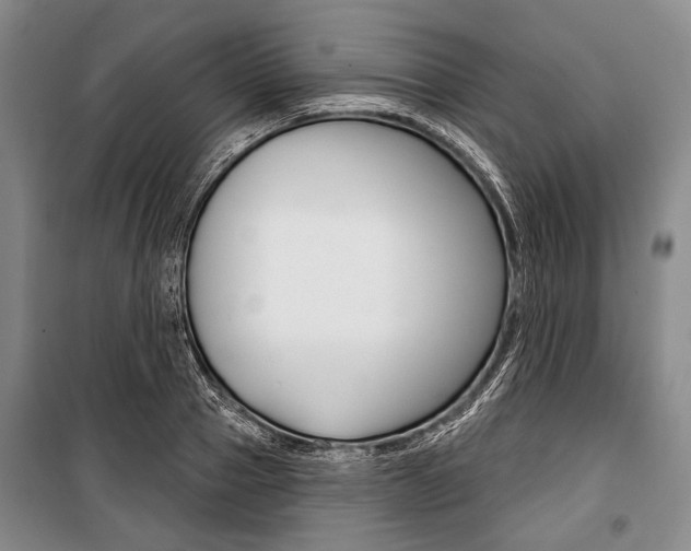 X0000101140937200806270733