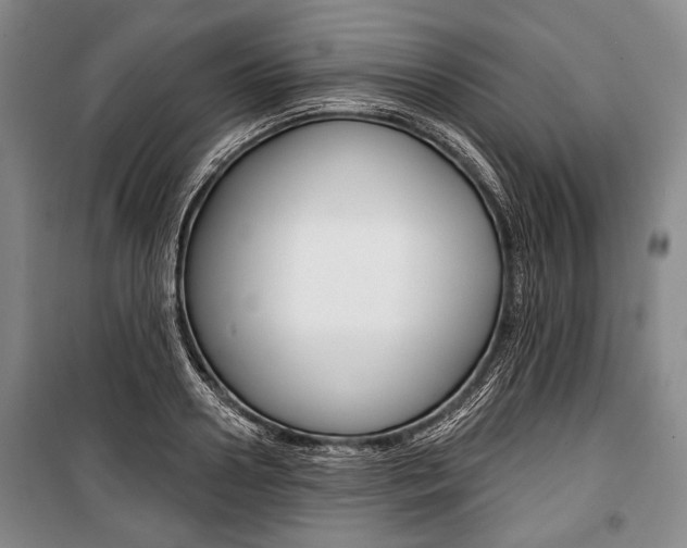 X0000101140938200806270733